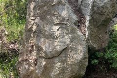 IMG_2714-scaled